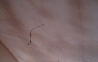 phone-pics-4-oct-13-358-575×1024-575×1024