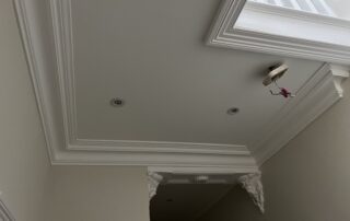 20240924_211805_IMG_4310